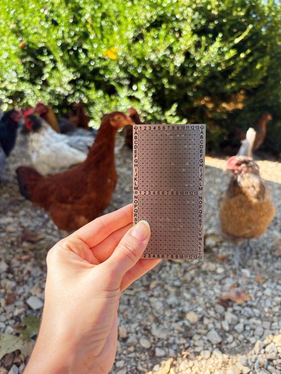 Make sure you're prepared! Take custody of your bitcoin and backup those keys in steel!

Use code "x.com" or follow this link for 10% off your entire order: 
punchplate.com/discount/x.com