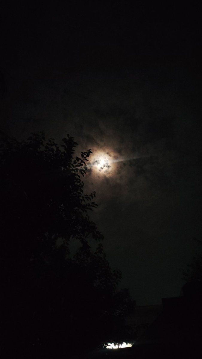 Anshulrld's tweet image. किसी दिन रुकेगा जरूर ये सिलसिला भी 
किसी दिन मैं भी सितारों का हो जाऊंगा 
किसी रोज आखिरी होंगी मेरी सदाएं 
और मैं उस रोज उन्हीं सदाओं का हो जाऊंगा। 
~ अंशुल पवार 
@Anshulrld