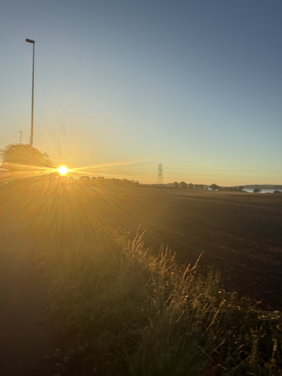 Kevin Clark tweet media