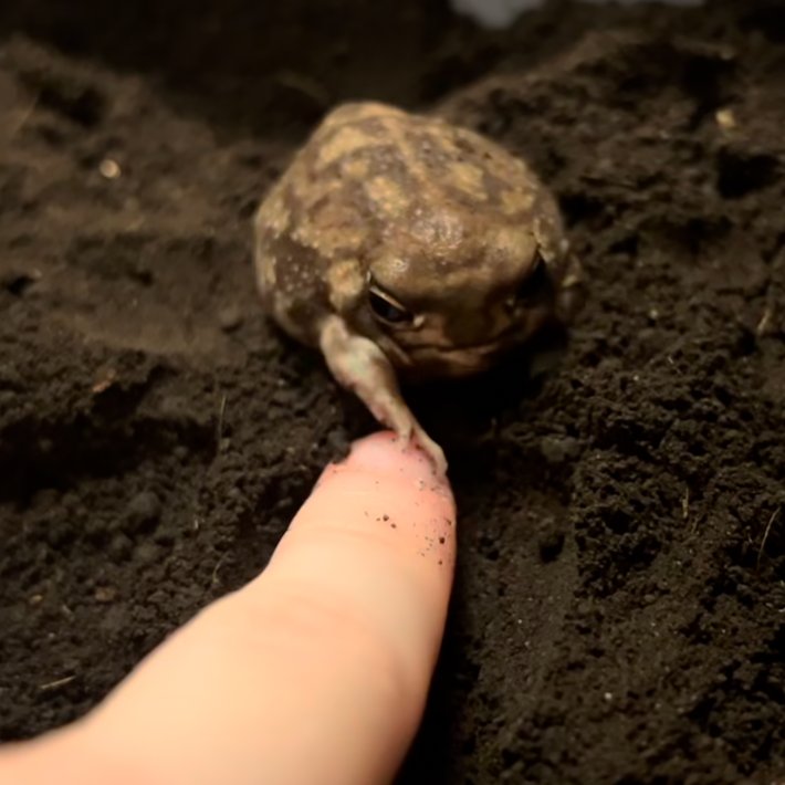 📅 21st September 2025
🏷️ Instagram/maurice_and_kebab
💕 #animaloftheday