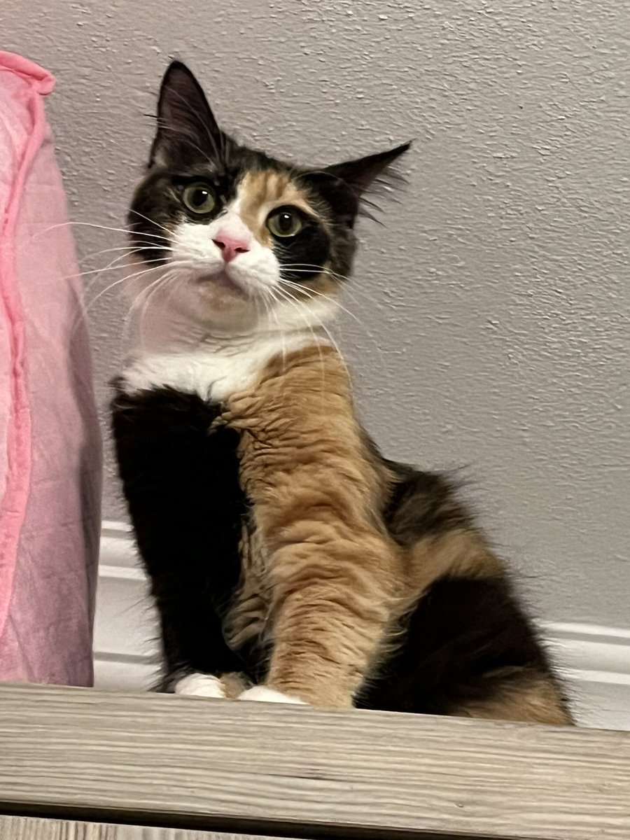 Hurç yanında overthinkim dha iyi çekio