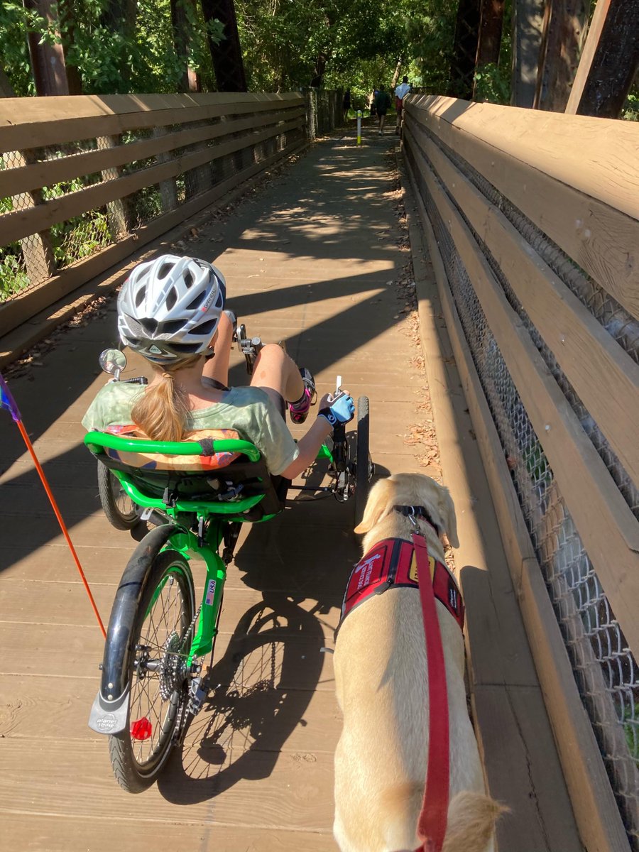 Team Drea Foundation tweet media