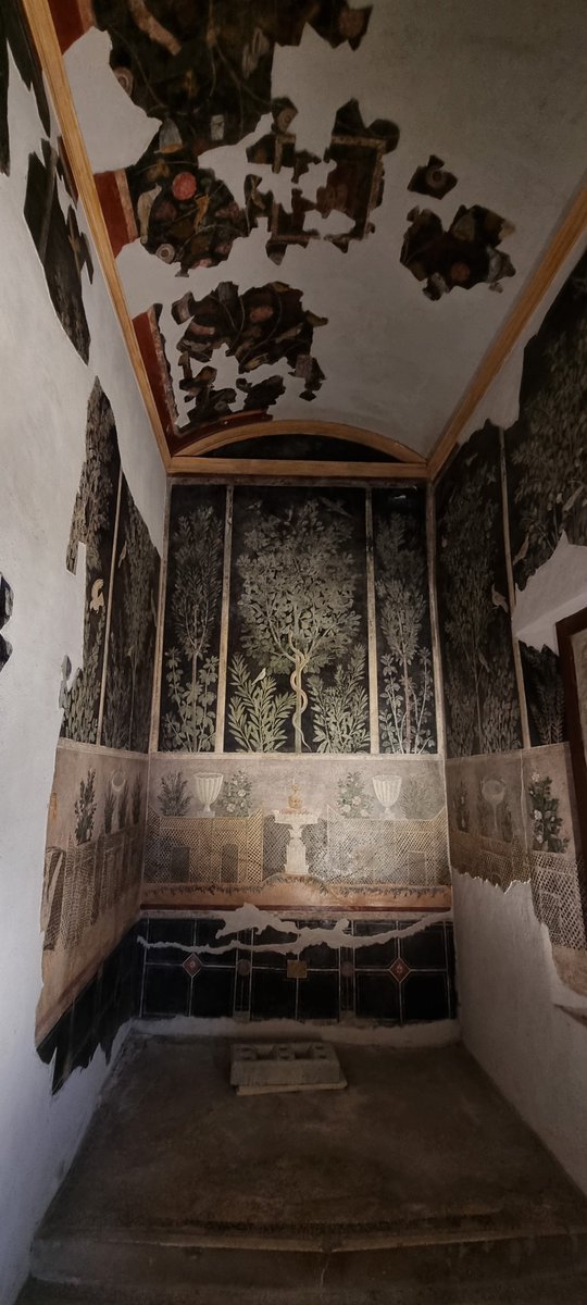 🍒 𝗖𝗮𝘀𝗮 𝗱𝗲𝗹 𝗙𝗿𝘂𝘁𝘁𝗲𝘁𝗼 #Pompeia #Pompeii
Situada al sud de la Via dell'Abbondanza es caracteritza per l'extraordinària i copiosa decoració floral i paisatgista.

totpompeia.com