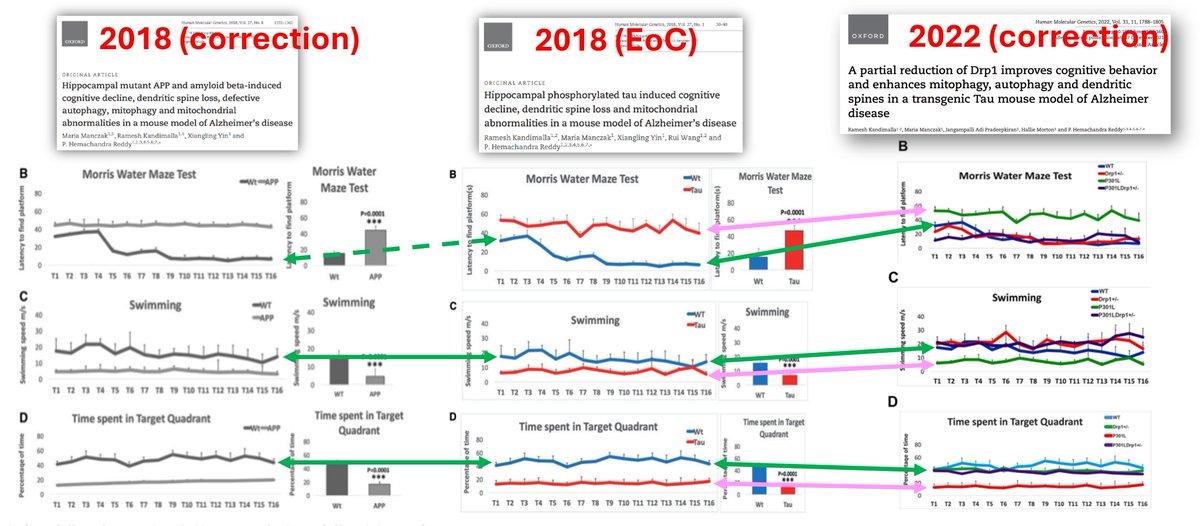 Three papers used the same data, two papers were corrected and the third has an Expression of Concern (due to the data). Does this make sense?

The PI was mentioned in the book "Doctored" by Charles Piller. simonandschuster.com/books/Doctored…

➡️ The correction (10.1093/hmg/ddad040) to the