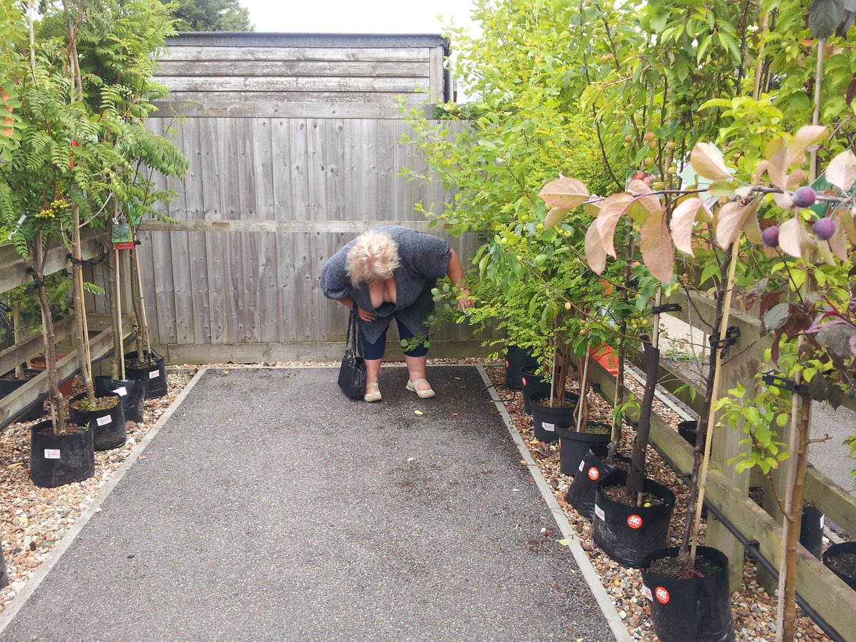 shyplumpmum's tweet photo. Nice trip out to the garden centre today.........#candaulism #flashingbbw #flashingwife #titflash https://t.co/Flpk5xXYOO