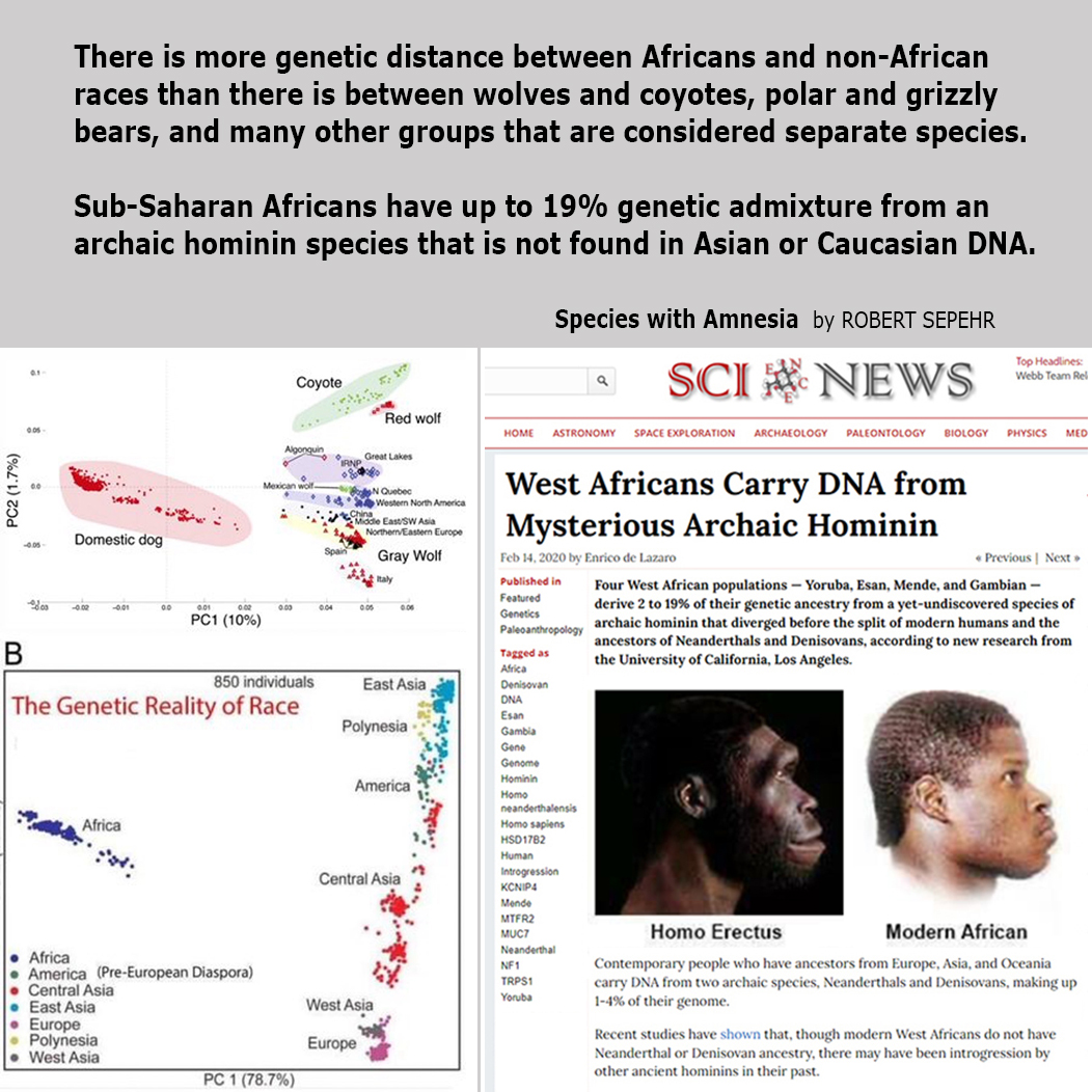 There is more genetic distance between Africans and non-African races than there is between wolves and coyotes, polar and grizzly bears, and many other groups that are considered separate species. Humanity is not one race.

Out-of-Africa Theory Debunked 
youtube.com/watch?v=lABvt4…