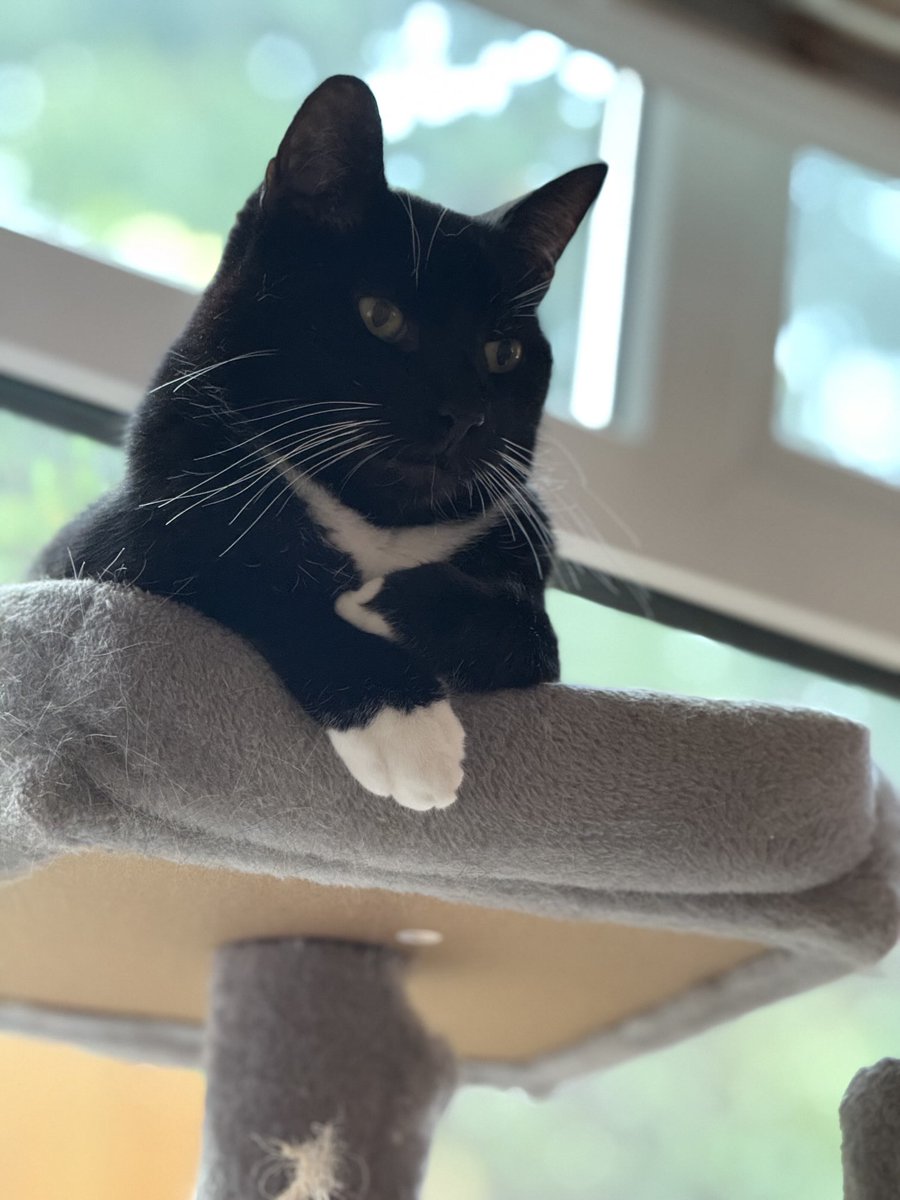 Mummy you need to make the rain stop 🌧️🌧️🌈☔️