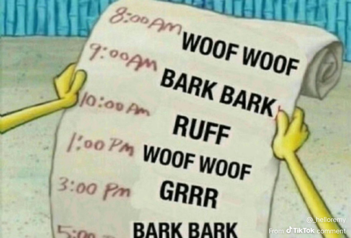 ✧ari (@dashofarielle) on Twitter photo 