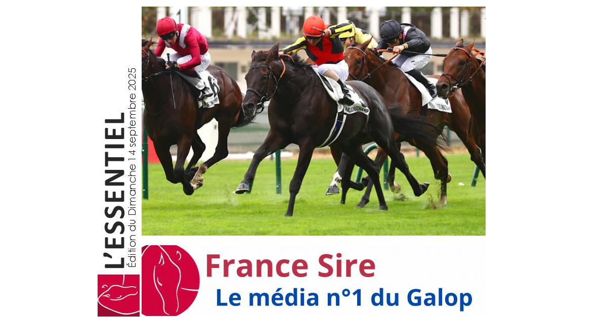 À ParisLongchamp, le japonais Croix du Nord a validé son ticket pour lArc en triomphant pour sa rentrée dans le Prix du Prince dOrange. Au Curragh, le "FR" Al Riffa sest offert une 3e victoire au plus haut niveau avec facilité dans lIrish St. Leger. #Dynavena