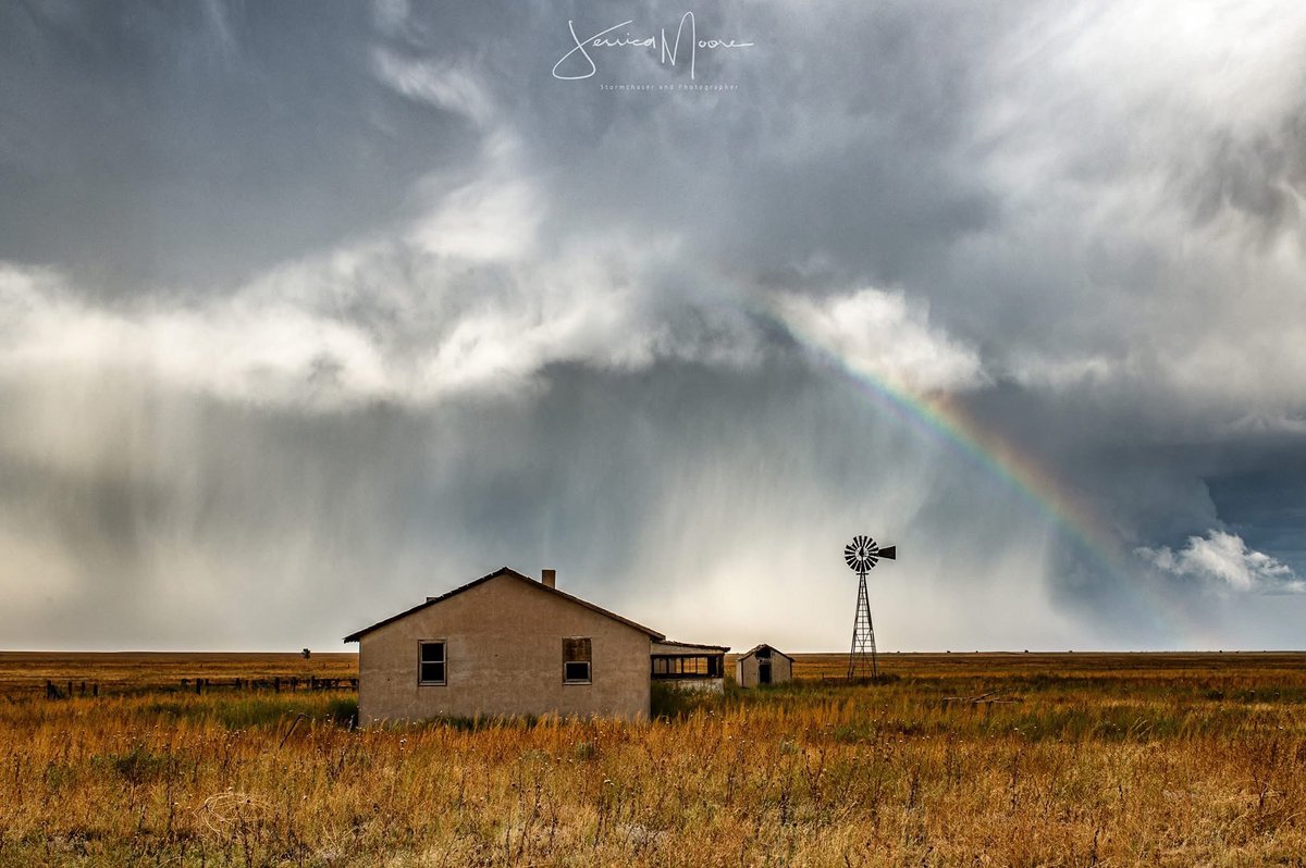 Sometimes it’s extremely challenging to see the beauty in the world around us amidst so much turmoil and darkness.

I remain grateful for photography as my way of finding that beauty. It forces me to slow down and truly appreciate the good in life.

💙