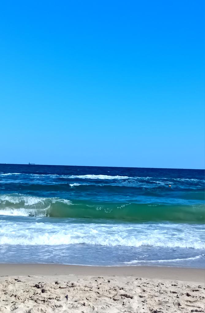 Катерина Галич tweet media