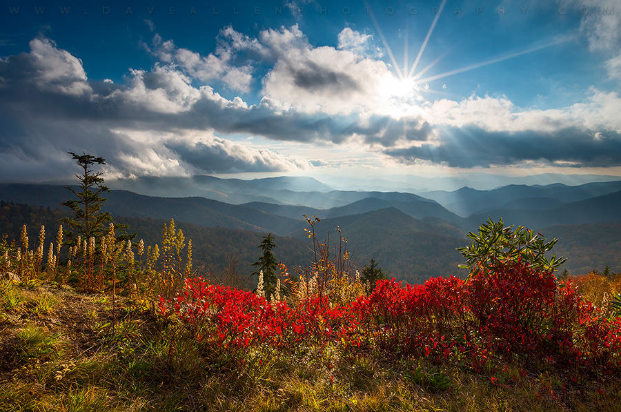 Stars and Stripes - Autumn is almost here in the Blue Ridge Mountains and we are so ready for it!  Who's excited for this beautiful time of the year?  📷 🌄