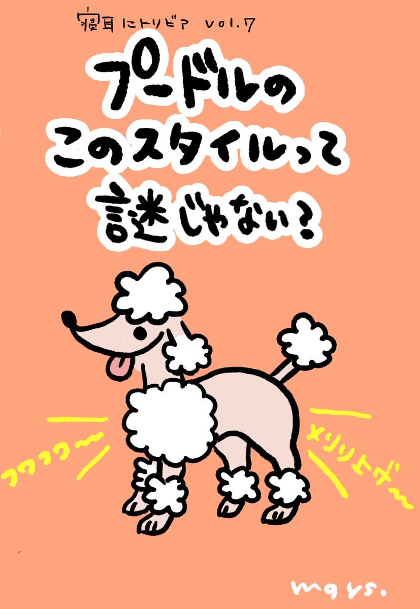 nbs0523rdn's tweet photo. プードルのスタイルって謎じゃない？🐩①
#寝耳にトリビア #プードル #漫画が読めるハッシュタグ https://t.co/I9ECJkWmR6