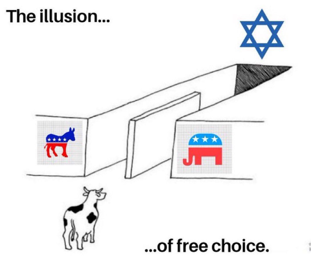 Red Pill Media (@redpillmediax) on Twitter photo 