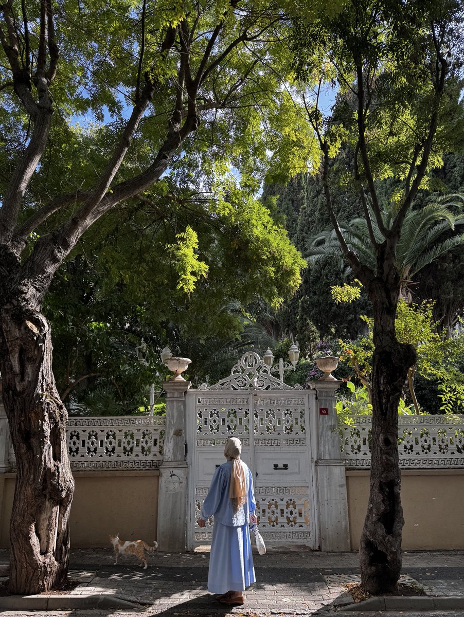 Ben biraz Büyükada gezdim de