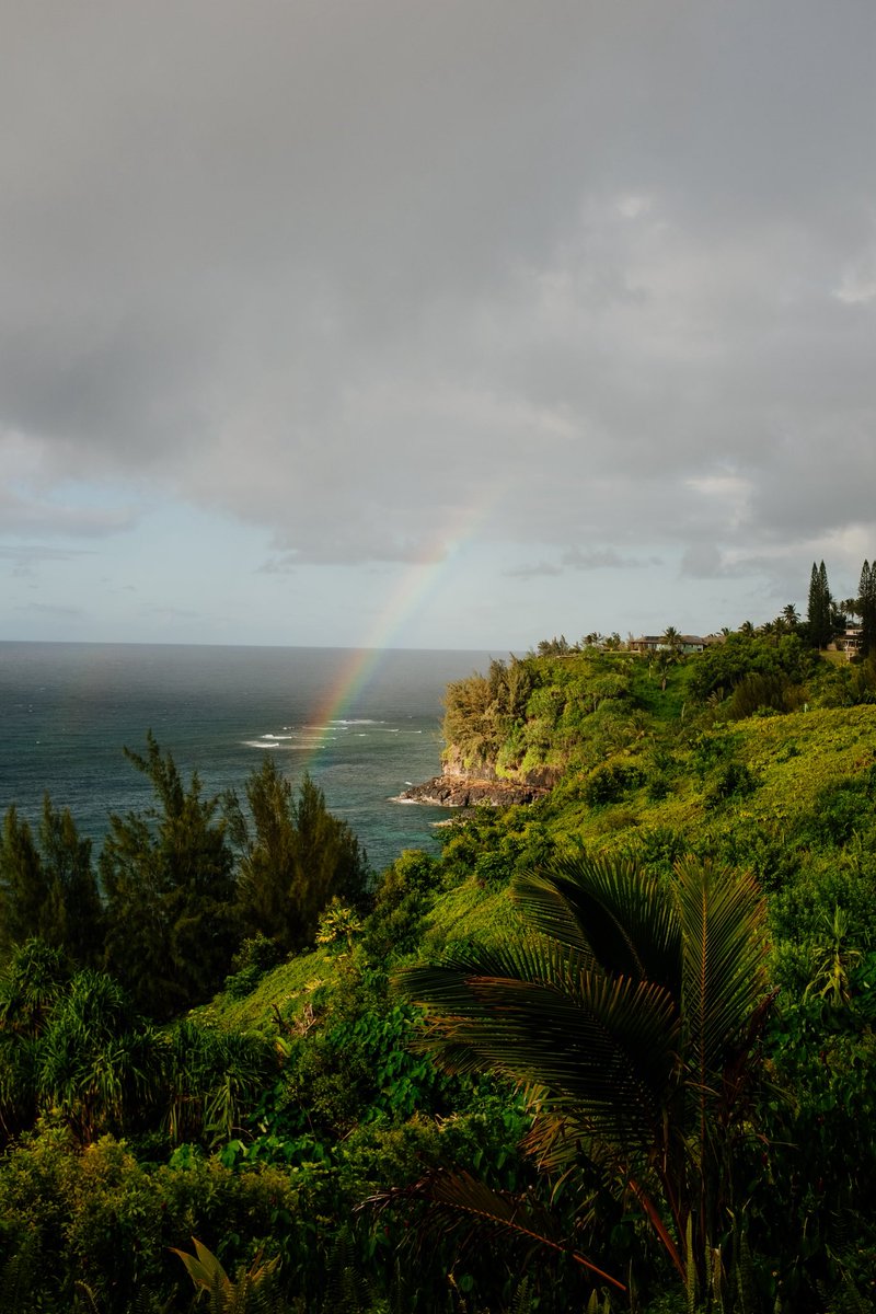 KyleViker's tweet photo. A few of my personal favorites from visiting "The Garden Island" this summer https://t.co/kcfU0kGlkA