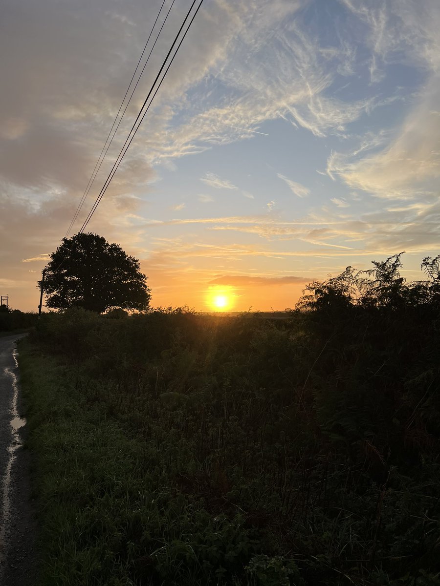 Lucy Wilkinson tweet media