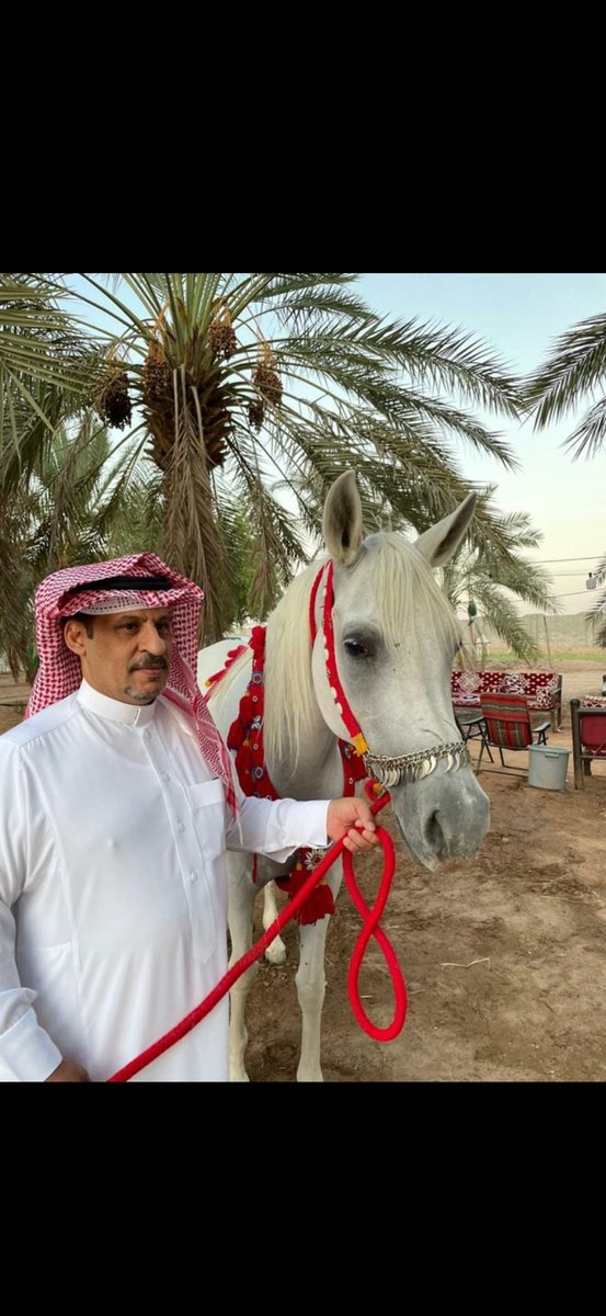 quarez_99's tweet photo. لمنبر الشعر فرسانه وفارسنا اللي يجمل النواحل وقبيلة حرب كافه : ناهس بن بدر بن ناحل 

اللي فرض نفسه في بداياته واثبت جدارته في كثير من المواقف الوطنيه والقبليه . 
ومن ابرزها قصائده في استقبال صاحب السمو الملكي الامير / سلطان بن عبدالعزيز ال سعود رحمه الله . https://t.co/1SucJ1ipVZ