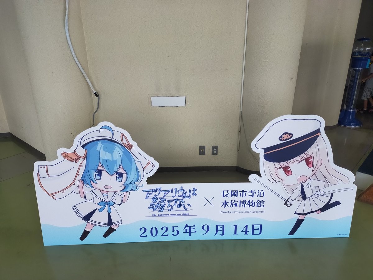 リラ冷え@百鬼夜行、草龍戦2nd (@fuquiz831) on Twitter photo 