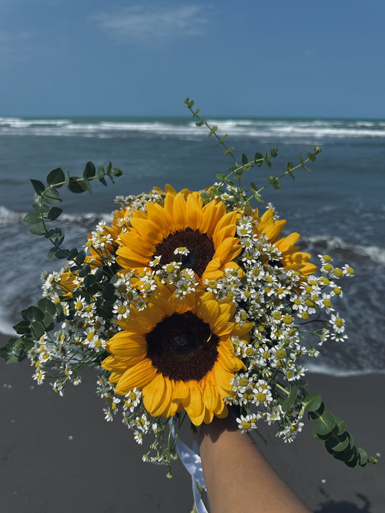 yasfllah's tweet photo. sky and the sea speak of eternity.🌊🦀🌻 https://t.co/nmHKa2KpiF