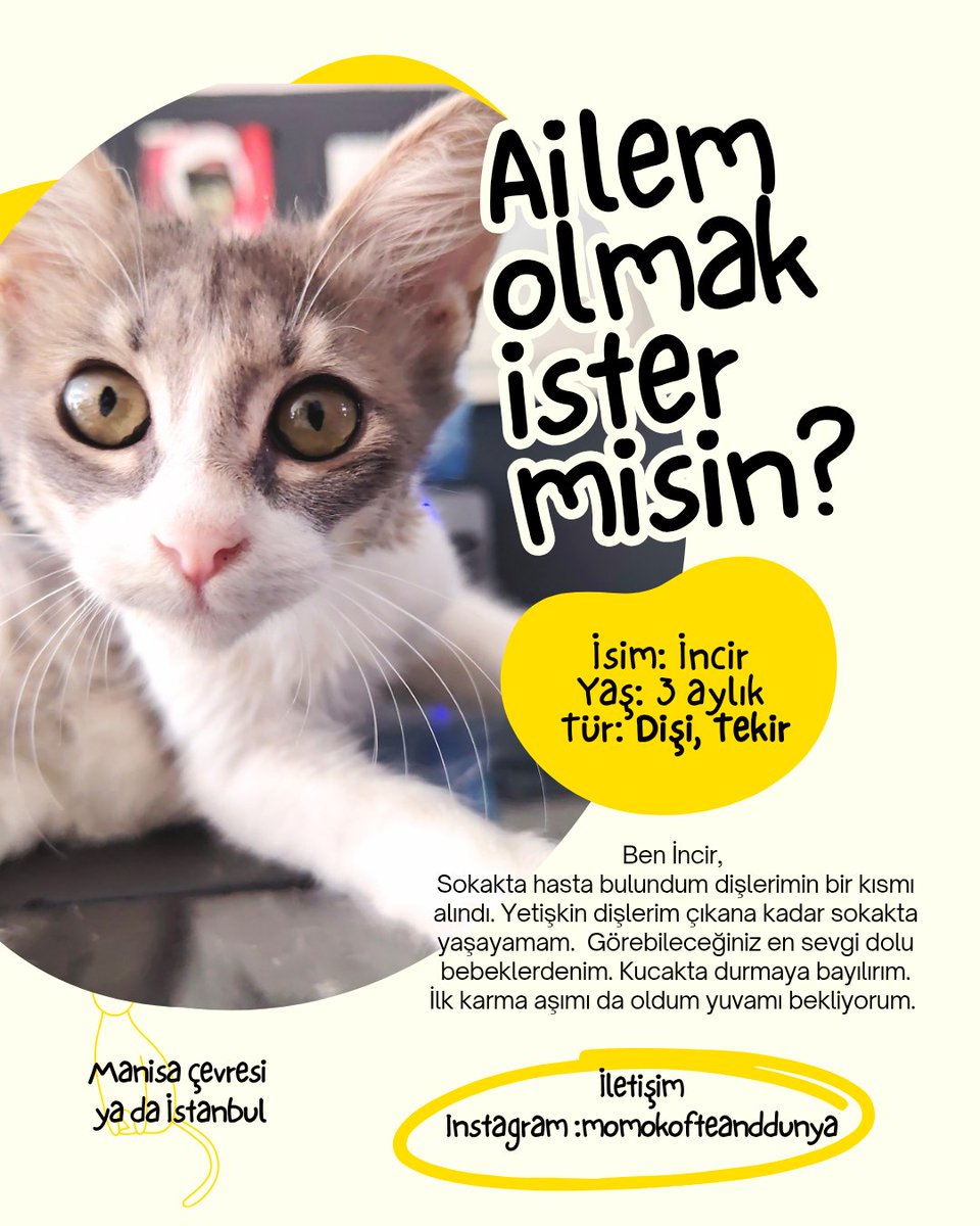 Evet yeterince sinirlendiyseniz ilanını paylaşın lütfen. Dünyanın en tatlı kızı yuva arıyor...