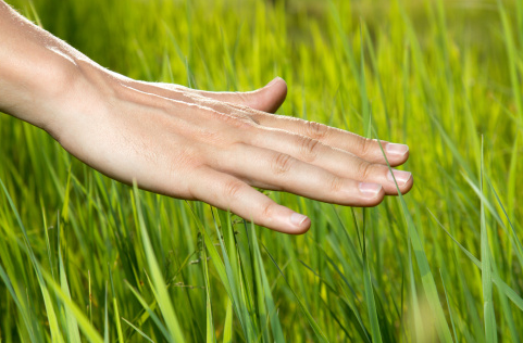 auren_0895's tweet photo. Touch the grass again
@opensea

#openseatouchgrass https://t.co/ddii5YKhNi
