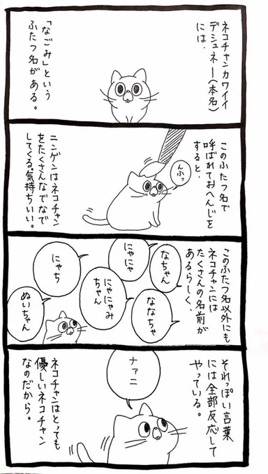 名前がめちゃめちゃある猫 