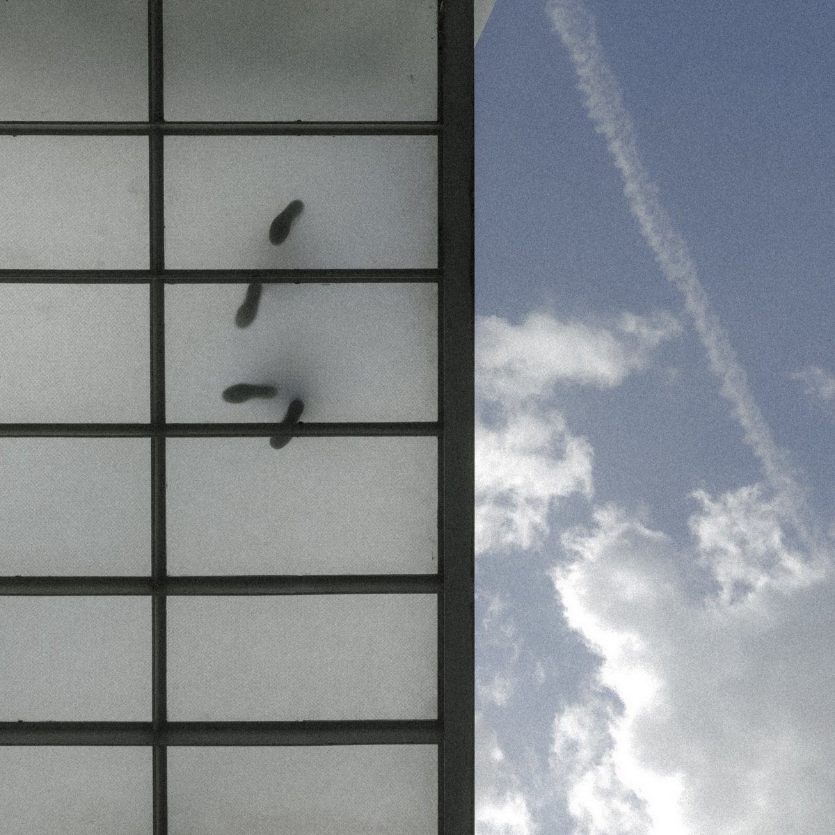 Festival de Cine de Santander tweet media