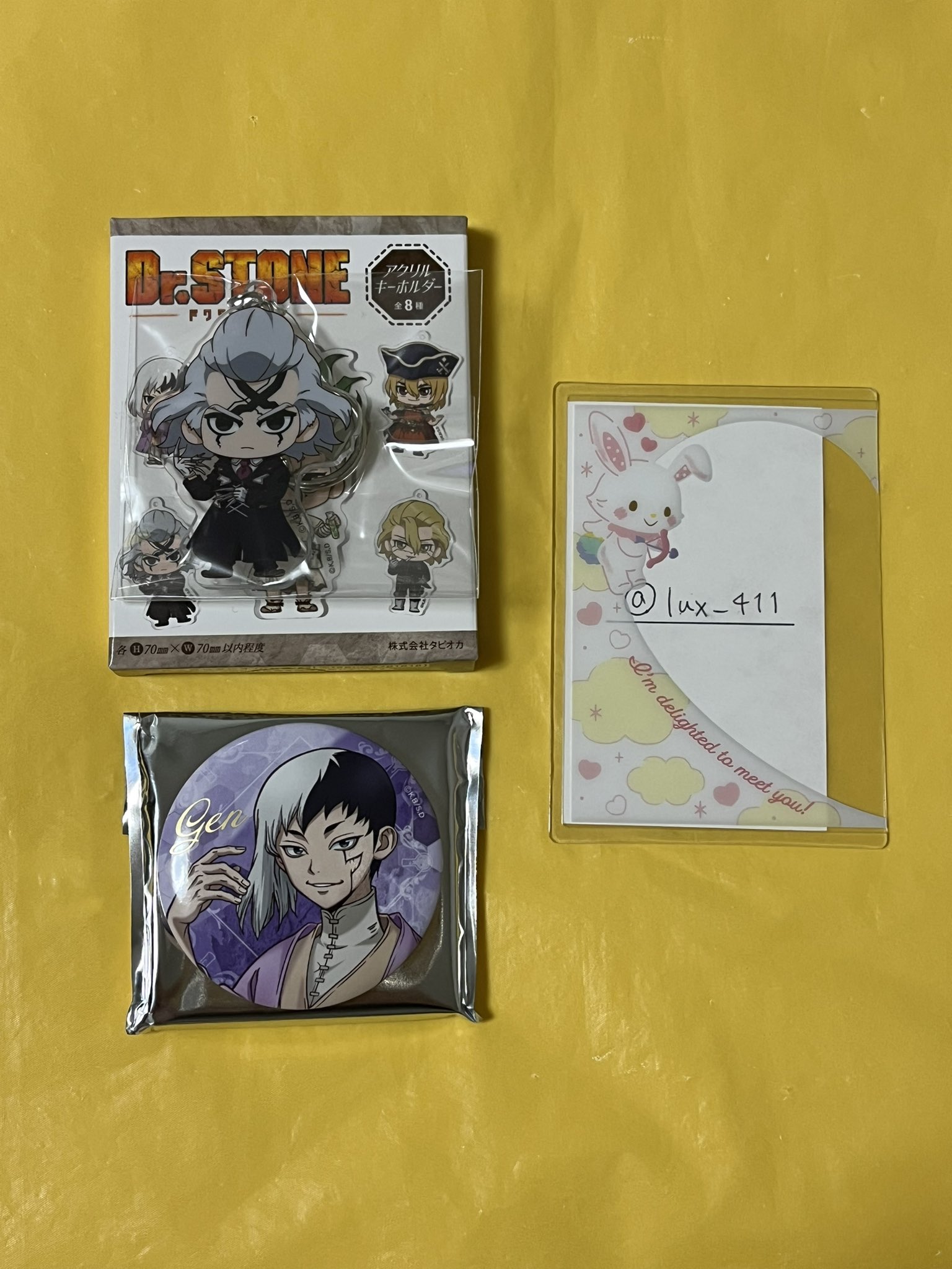 Dr.STONE 推しくじ 缶バッジ アクリルキーホルダー 等 セット c lux🌕 on X: 