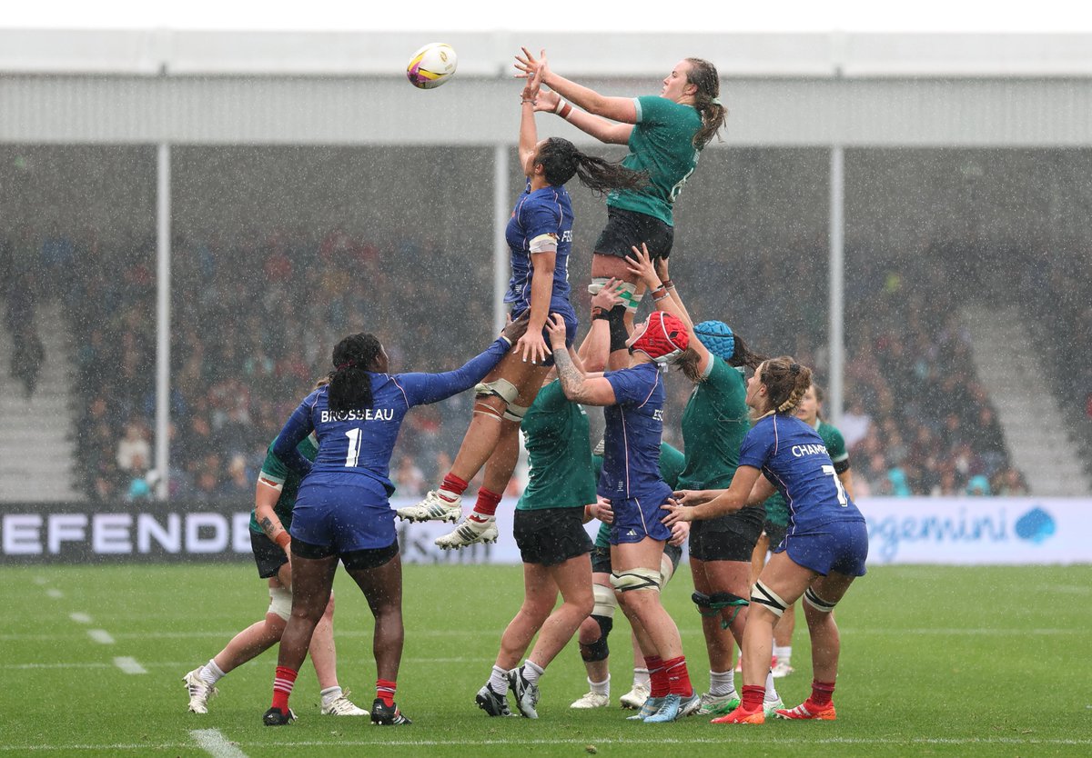 Rugby World Cup Info tweet media