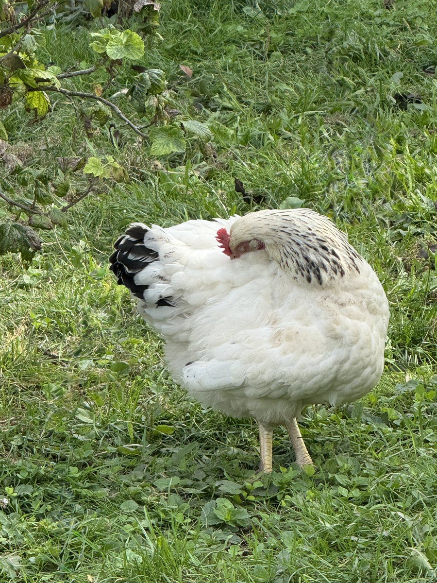 hugne (@souvenirsea) on Twitter photo 