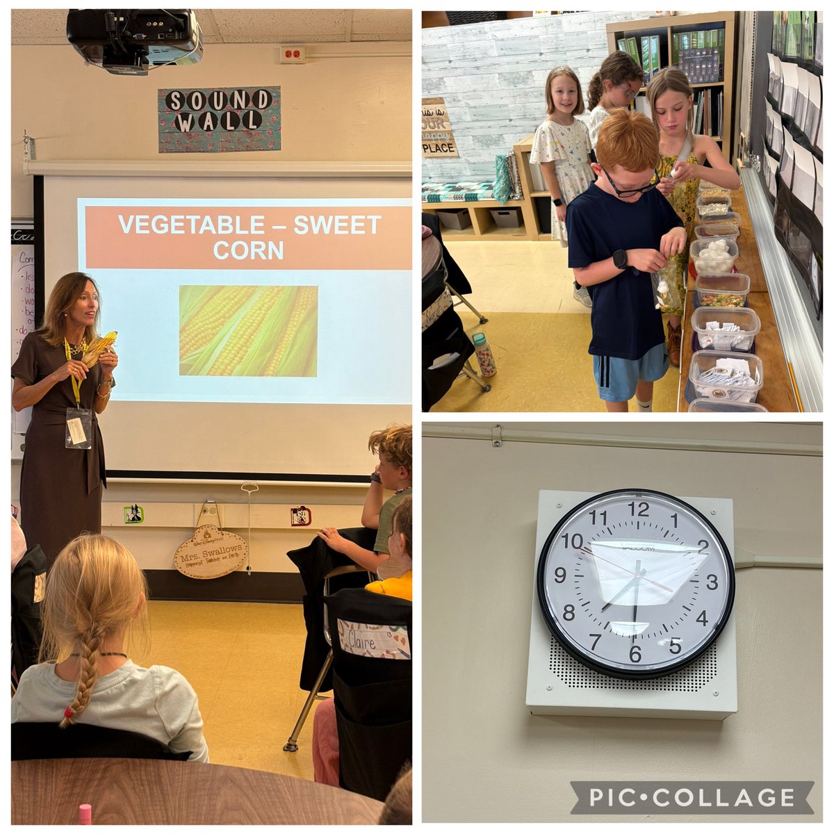 Melissa Swallows tweet media