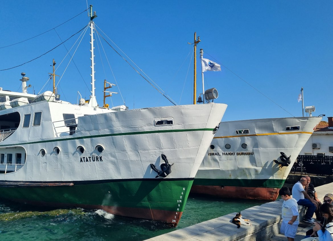 Çok güzel bir buluşma. Tarihin yaratıcılığı mı yoksa uyarısı mı? Bilemedim. Bugün saat 1630 itibarıyla İzmit Belediyesine bağlı Atatürk vapuru ile İstanbul Şehir Hatlarına ait İsmail Hakkı Durusu vapurları Heybeliada Vapur İskelesinde yan yana gelmiş. İsmail Hakkı Durusu Mustafa