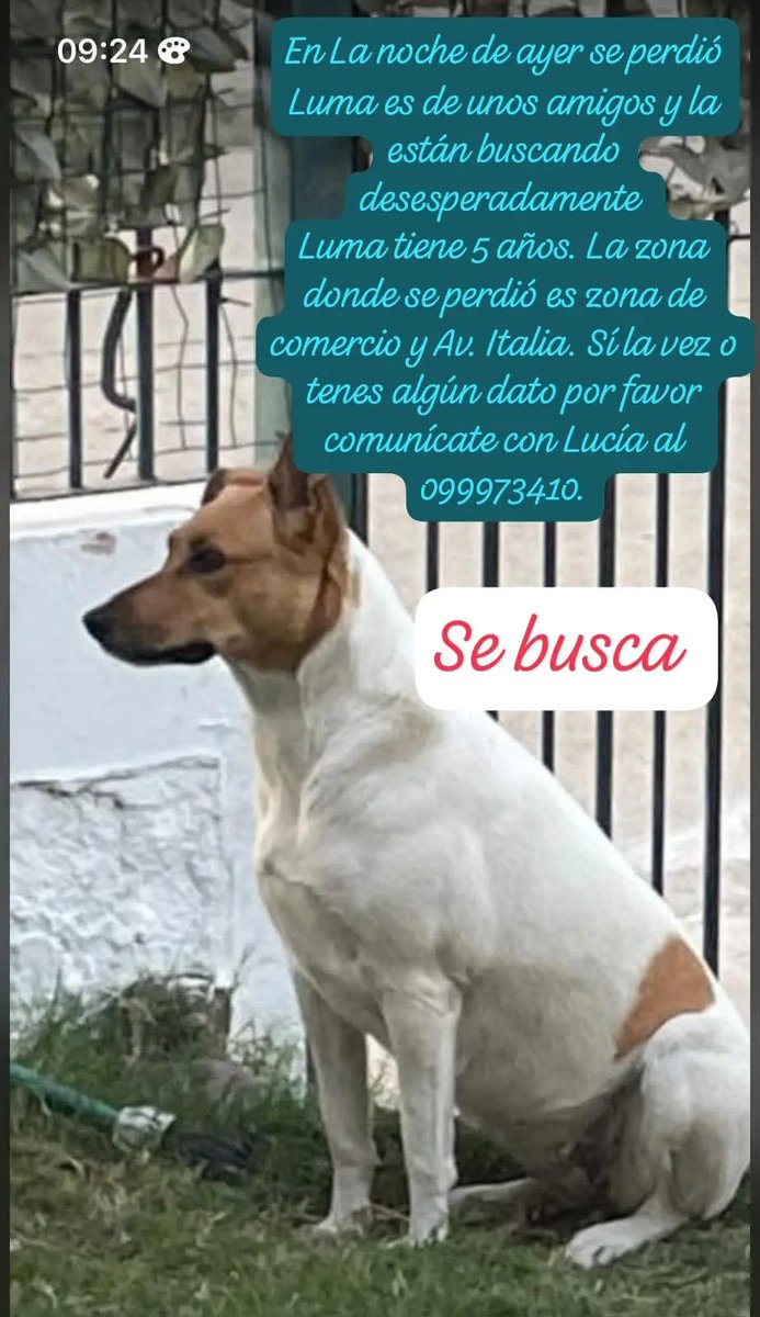 Se busca!