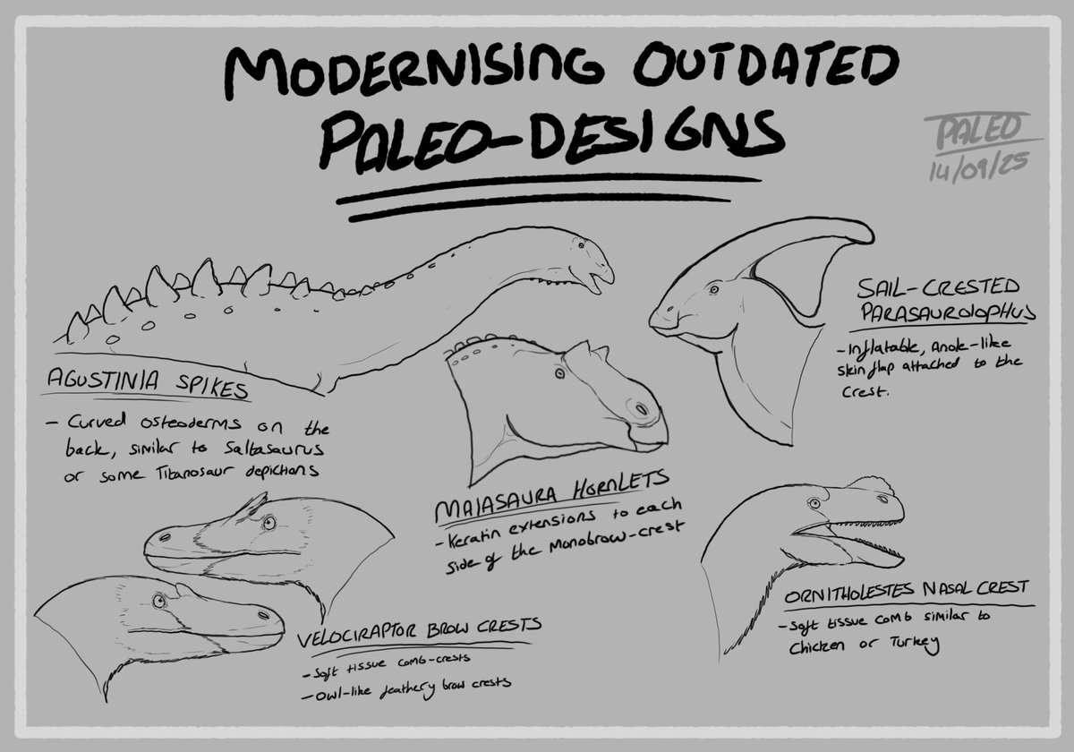 Paleonyx_Art's tweet photo. -Modernising Outdated Paleo-Designs-

Often times old/outdated ideas are abandoned and forgotten. But with some light speculation you can keep the aesthetic of old/outdated paleoart without sacrificing accuracy. Here's some examples I came up with

❤🔄 are very appreciated ^^ https://t.co/jSzlrJUdFD