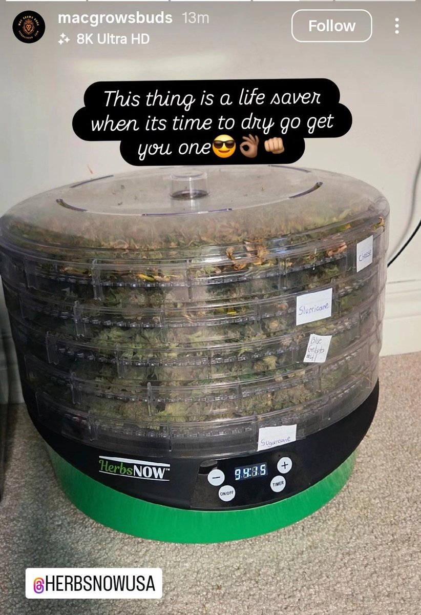 HerbsNOW_USA's tweet photo. There are a lot of ways HerbsNOW can be a lifesaver:
๐ก๏ธ No stressing over temp & humidity swings
๐ No waiting weeks for buds to finish
๐ฆ No mold wiping out your hard work
Just stack it, set it, and relax knowing your harvest is safe.
#HerbsNOW #DrySmart #GrowersLife https://t.co/hGRgq6Ppbd