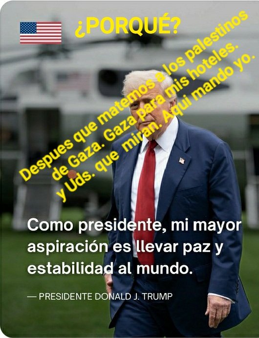 Trump= Netanhaju, sueltos sin vacunar se pasean riendo a 64500 muertos, miles de niños, ante la Oficina Oval, la ONU y sus Comisiones Internacionales y ahora acuerdan la ocupación de Gaza. Propongo:
Expulsen a Israel de la ONU por genocidas y terroristas.
No moral o sobra miedo