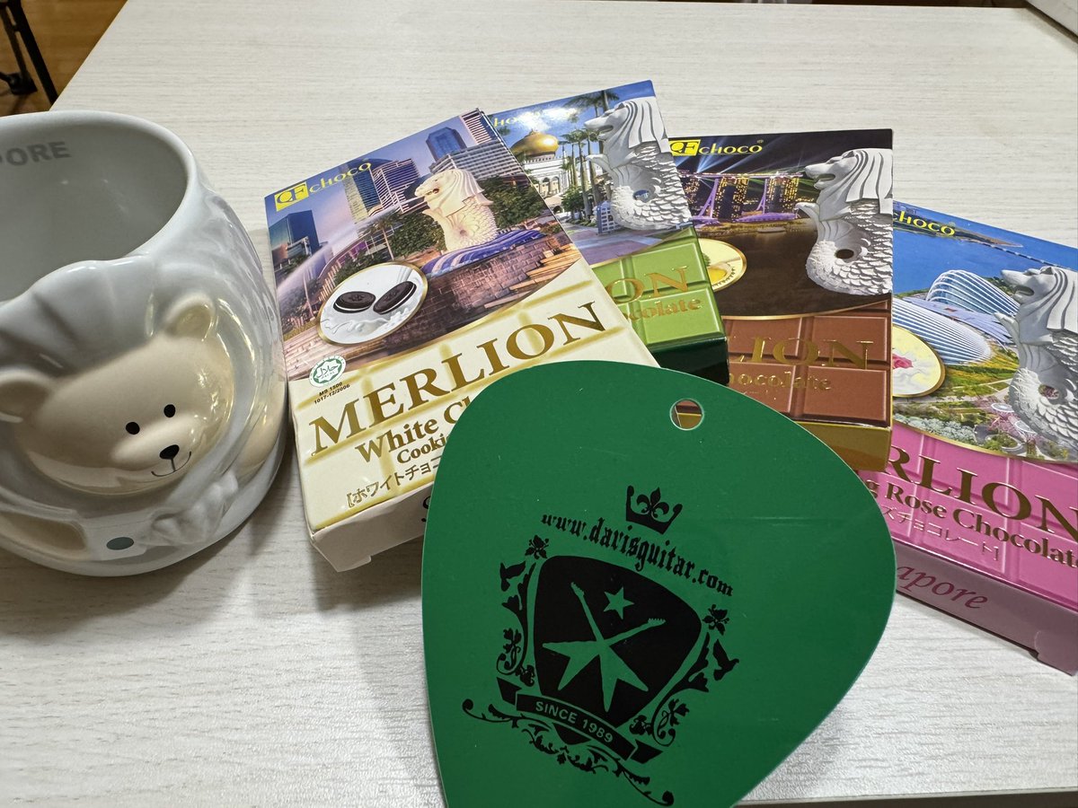 帰国しました😌 あっという間の滞在でしたが、実は初マーライオンを