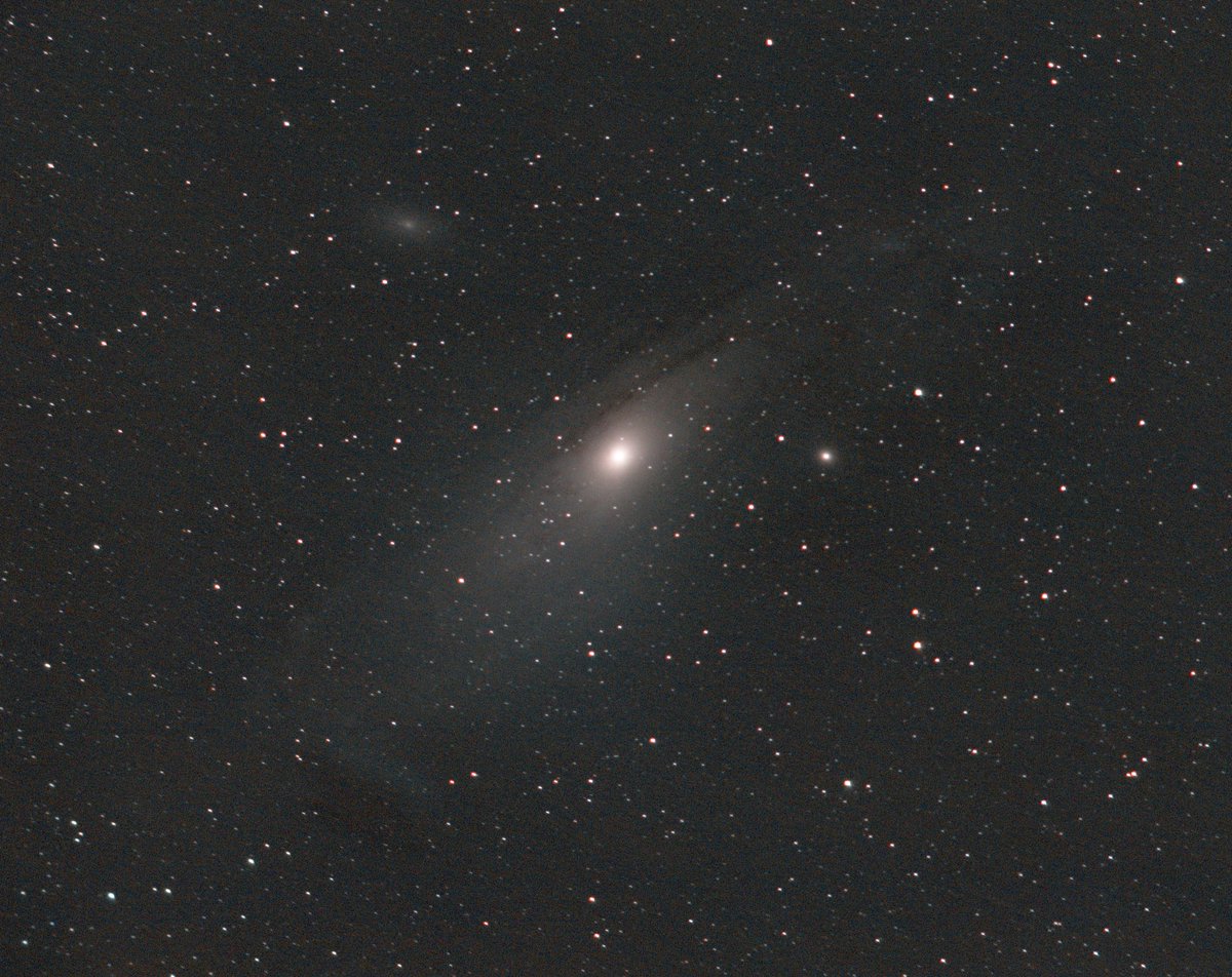 Pandita rojo 🐳 tweet media