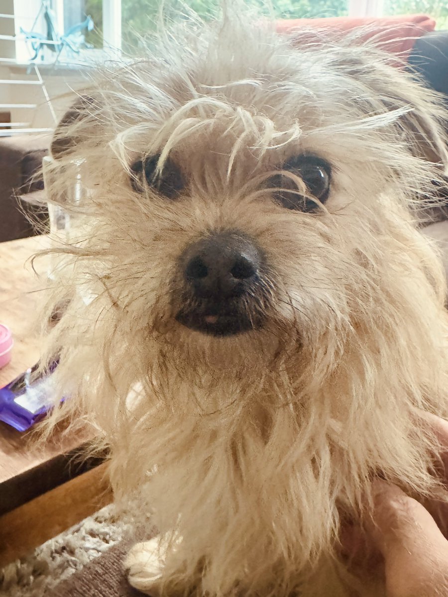 Paul Linnet tweet media