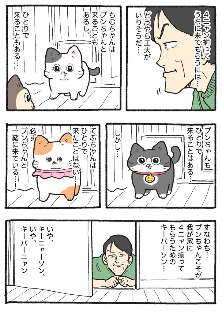 ねこに転生したおじさん。その788