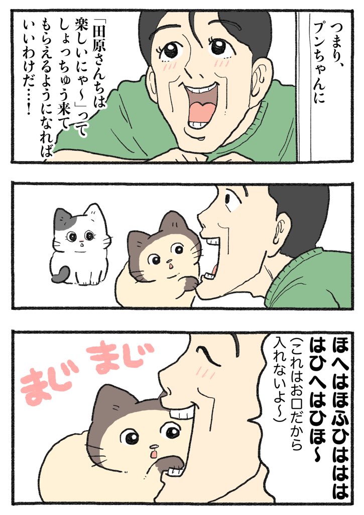 ねこに転生したおじさん。その788