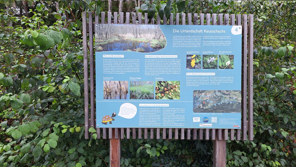 kobyjk's tweet photo. Er was voor #vanmiddag wat #gewitter voorspeld, vandaar al vroeg op voor een #skinnydip en daarna een #hike om #KeutschacherSee zeer mooi rondje van ruim 8 km. Vanmiddag even #dreiging maar veel genieten in de zon en af en toe een #plons https://t.co/hJraQWAUyL