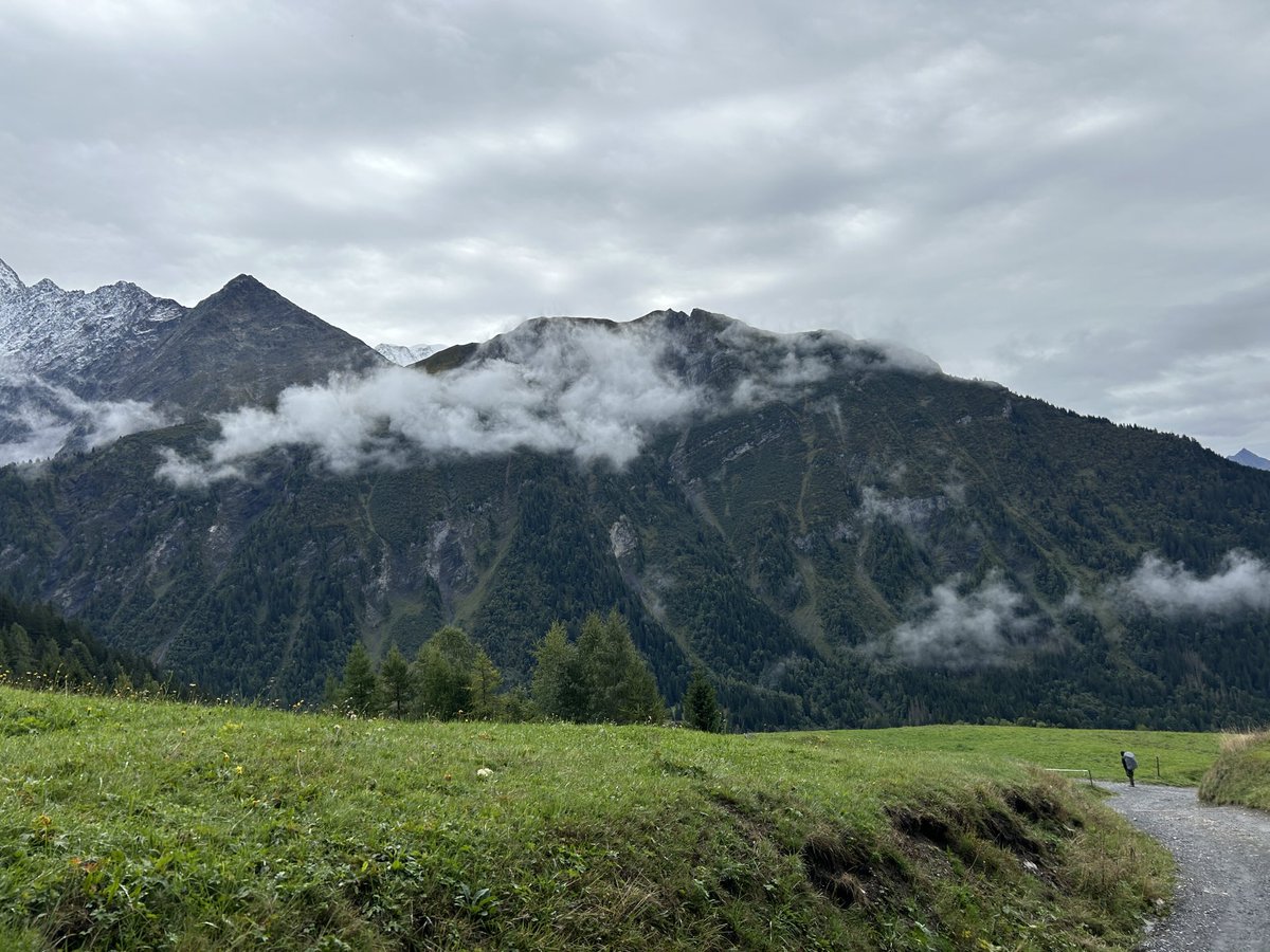 Peter Yendall tweet media