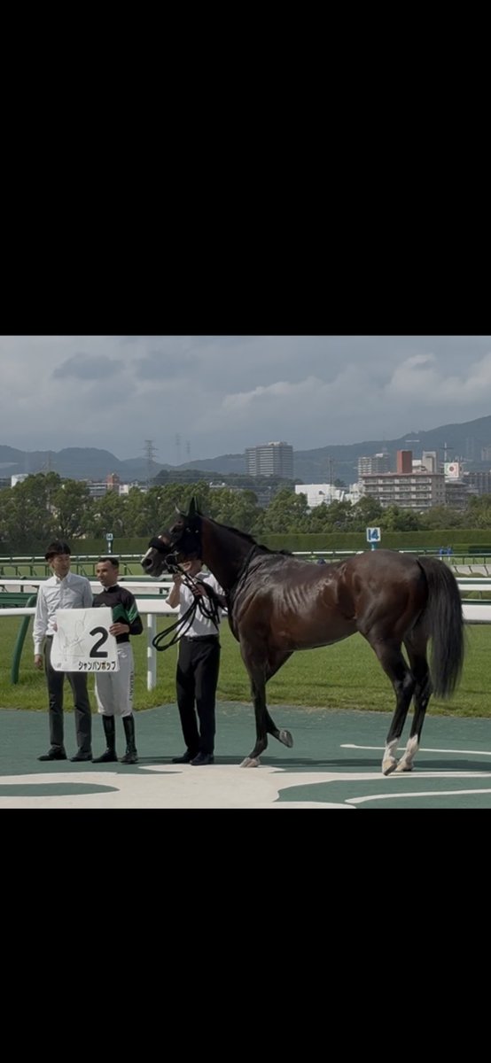 今日は阪神競馬場へ🐎
一口馬主をしている
シャンパンポップくんが
1着㊗️
おめでとう🎉
パドックで
ゴール前で
口取り式を
目の前で観ることができて
本当に幸せでした😍
2勝目
ありがとう✨
ずっと見守ってきてるから
ほんまに嬉しいです
毎回どうか無事に
帰って来てねと
願っているから