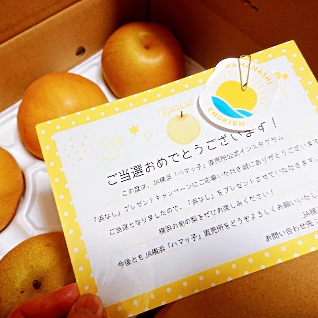 浜なし - Search / X