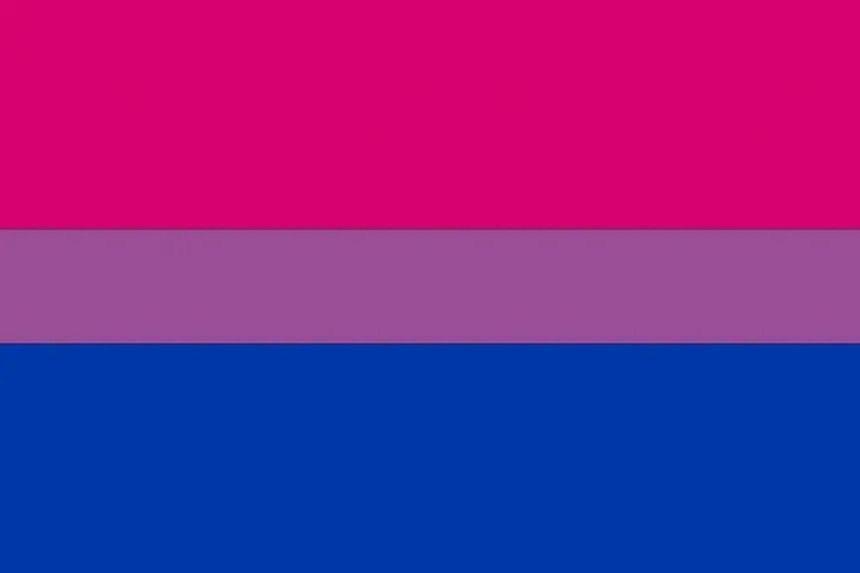 reine_yday's tweet image. the bi flag is literally just the lavenderz