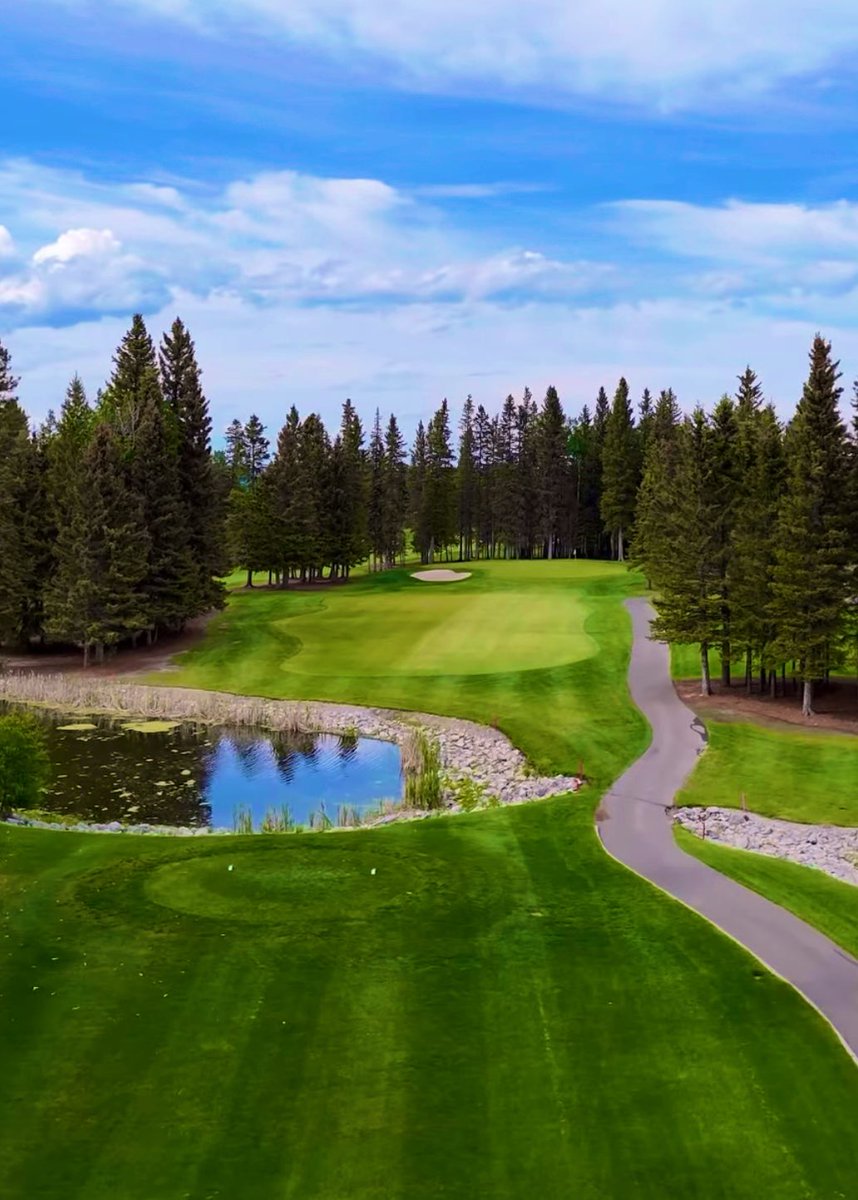 Canadian Jennifer 🇨🇦 tweet media