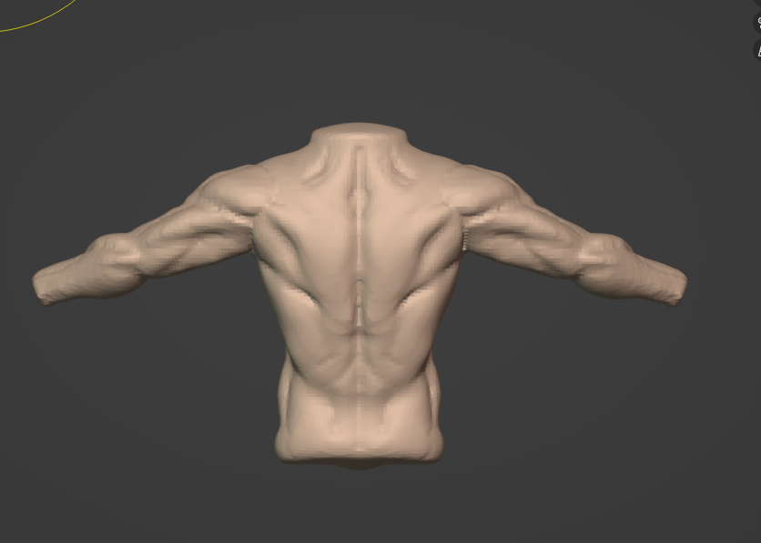 Some anatomy practice

#3dart #anatomy