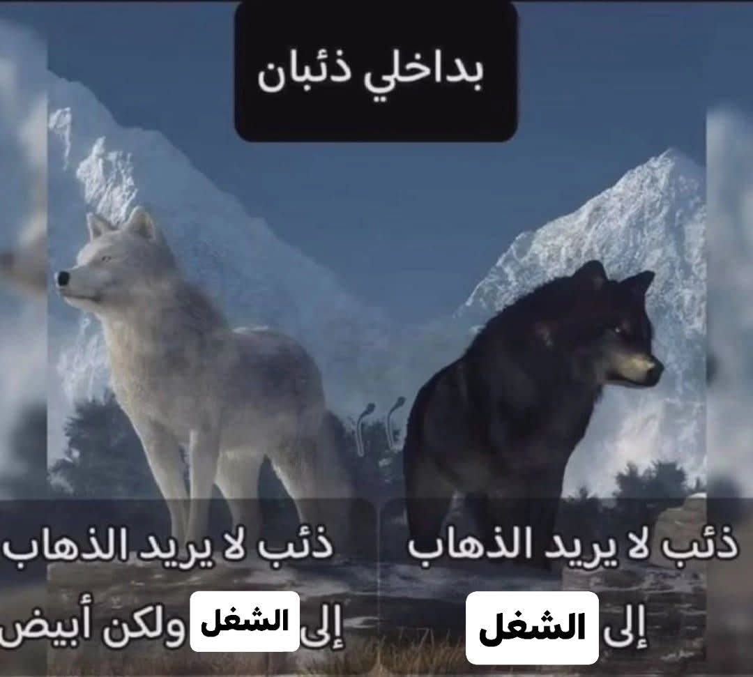 صفا (@_safaam7medd) on Twitter photo 